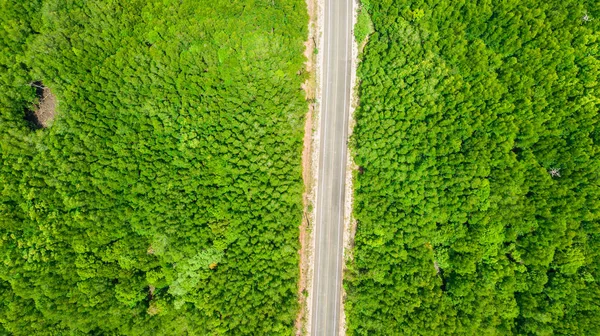 Widok z lotu ptaka krajobraz drzewa lub lasu, Krabi Tajlandia — Zdjęcie stockowe