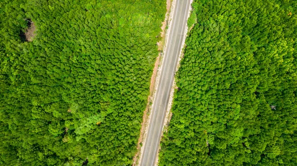 Widok z lotu ptaka krajobraz drzewa lub lasu, Krabi Tajlandia — Zdjęcie stockowe