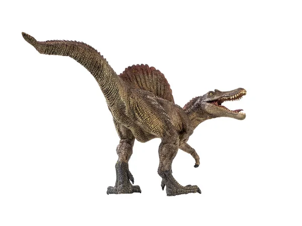 Spinosauro, dinosauro su sfondo bianco — Foto Stock