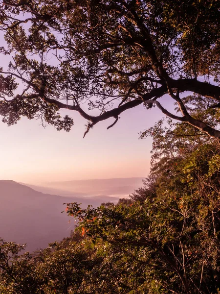 Pha Deaw Dai Acantilados del Parque Nacional Khao Yai en Tailandia — Foto de Stock