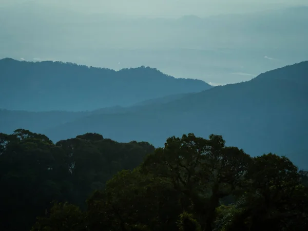 Paisaje de Montaña con bosque en Crepúsculo tiempo — Foto de Stock