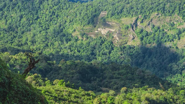 Paisaje de Montaña en el Parque Nacional Doi Inthanon, Tailandia — Foto de Stock