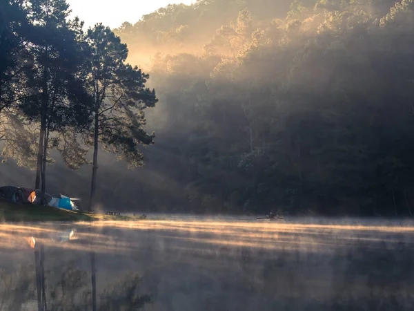 Пейзажи водохранилищ и тумана в валлийское утро — стоковое фото