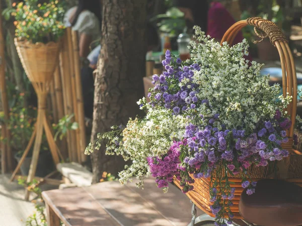 White and purple Cutter Flower is blooming beautifully in basket