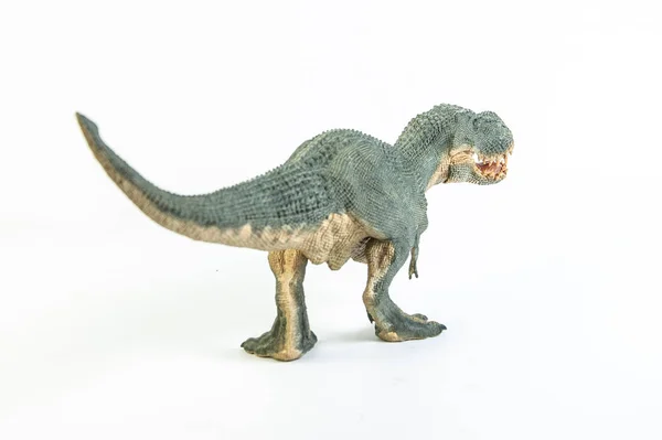 Tyrannosaurus T-rex, dinosaure sur fond blanc — Photo