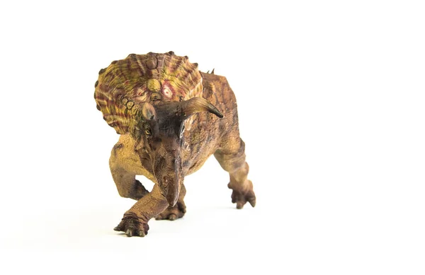 Triceratops, dinoszaurusz, fehér háttér — Stock Fotó