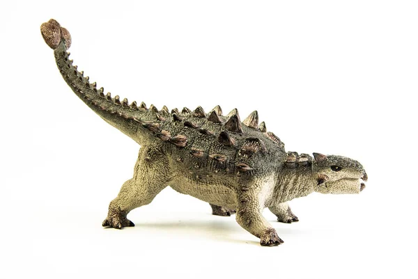 Anquilossauro, dinossauro sobre fundo branco  . — Fotografia de Stock