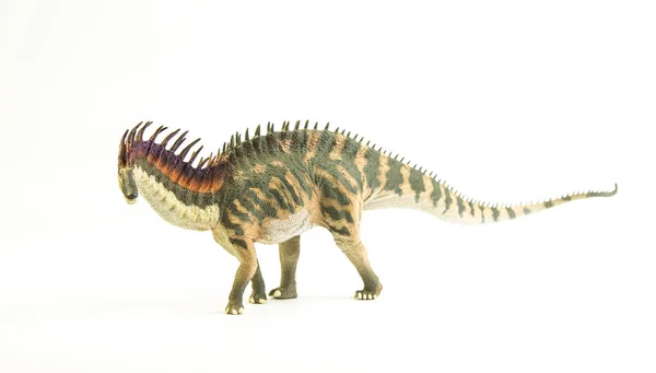 Amargasaurus, dinossauro sobre fundo branco  . — Fotografia de Stock