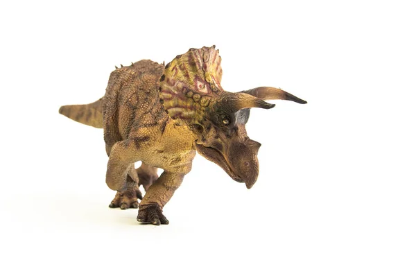 Triceratops, dinosaurio sobre fondo blanco — Foto de Stock