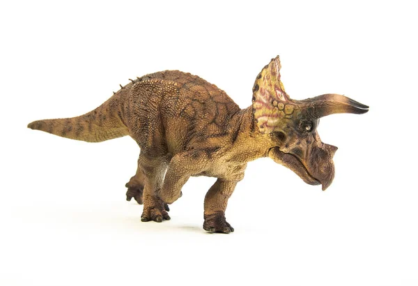 Triceratops, dinozaur na białym tle — Zdjęcie stockowe