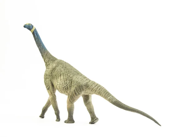 Atlasaurus, dinosaurus na bílém pozadí . — Stock fotografie