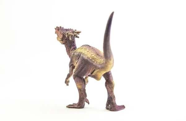 Dracorex, dinosaure sur fond blanc  . — Photo