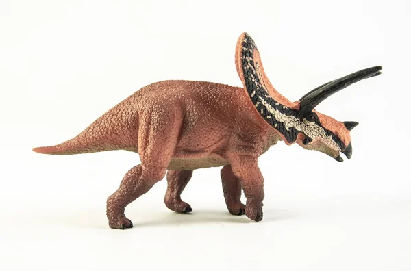 Torozaur, dinozaur na białym tle . — Zdjęcie stockowe