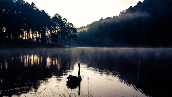 Het landschap van het stuwmeer en de ochtendmist — Stockfoto