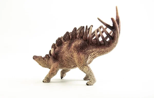Kentrosaurus, dinossauro sobre fundo branco  . — Fotografia de Stock