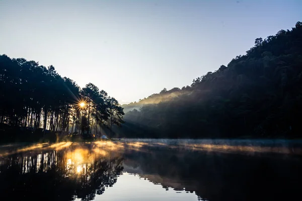 The landscape of the reservoir and the morning fog — Stock Photo, Image