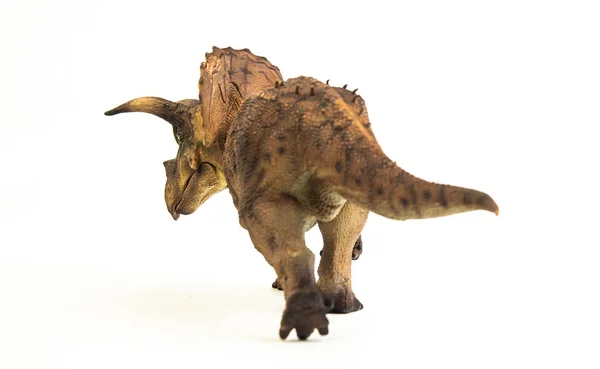 Triceratops, dinosauro su sfondo bianco — Foto Stock