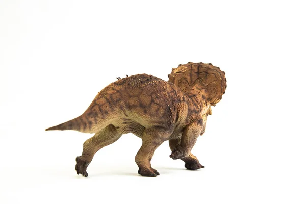 白い背景に恐竜トリケラトプス — ストック写真