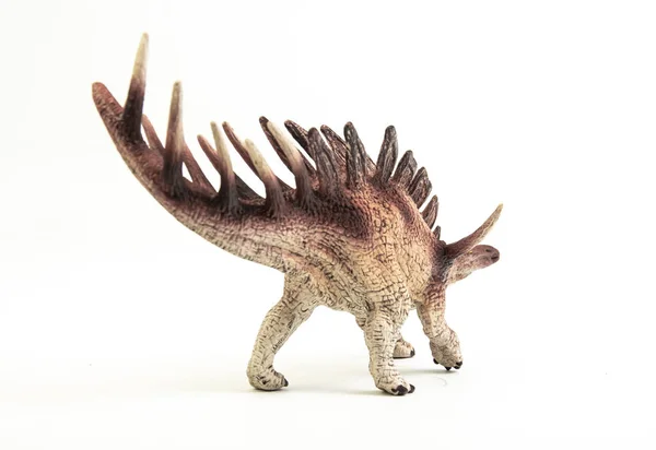 Kentrosaurus , dinosaur on white background . — Stock Photo, Image