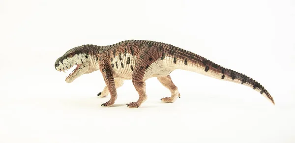 Prestosuchus, dinosaure sur fond blanc  . — Photo