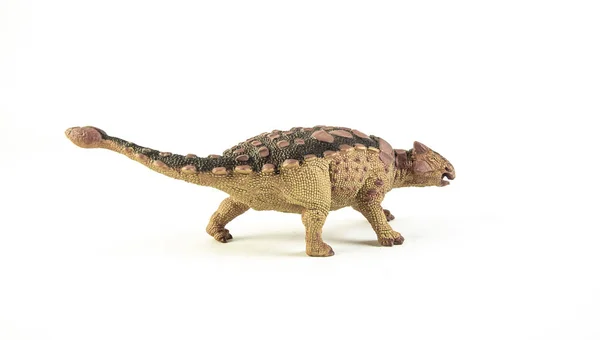 Ankylosaurus, beyaz arkaplanda dinozor — Stok fotoğraf