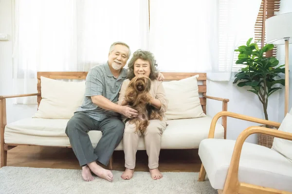 Pareja mayor feliz sentada en un sofá con perro — Foto de Stock
