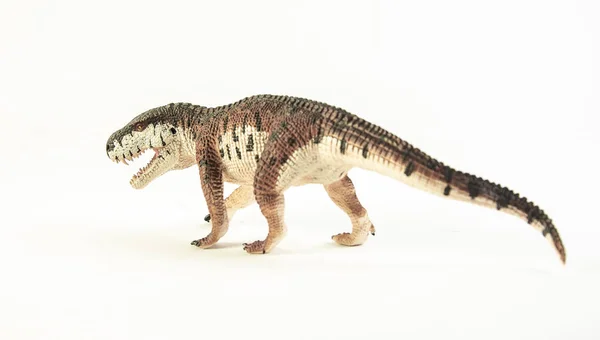Prestosuchus Dinossauro Sobre Fundo Branco — Fotografia de Stock