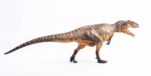 Giganotosaurus Dinosaurie Vit Bakgrund — Stockfoto