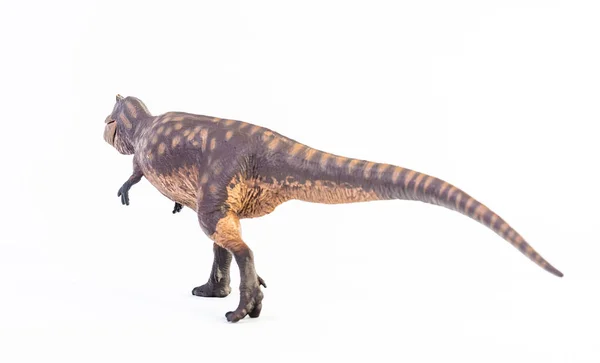 Гиганотозавр Динозавр Белом Фоне — стоковое фото