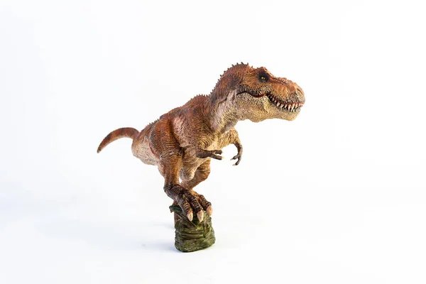 Tyrannosaurus Rex Dinozaur Białym Tle — Zdjęcie stockowe