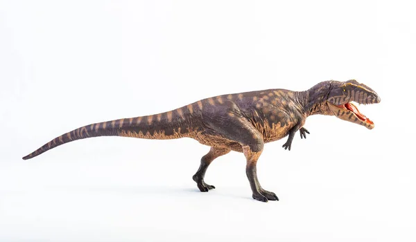 Giganotosaurus Dinosaurus Witte Achtergrond — Stockfoto