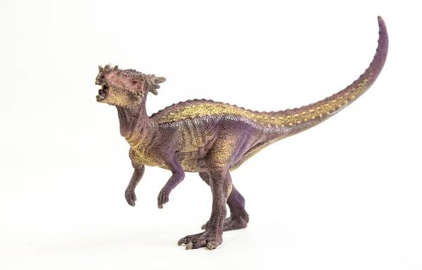 Dracorex Dinosaure Sur Fond Blanc — Photo