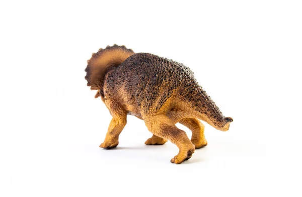 Triceratops Dinozaur Białym Tle — Zdjęcie stockowe