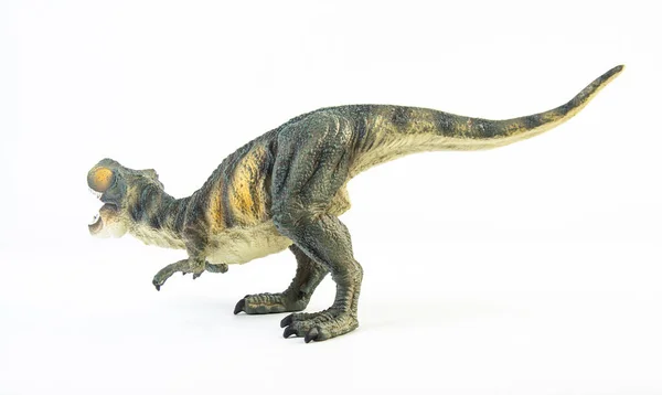 Tyrannosaurus Rex Dinosaurie Vit Bakgrund — Stockfoto