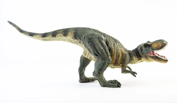 Tyrannosaurus Rex Dinosaurio Sobre Fondo Blanco —  Fotos de Stock