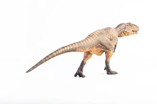 Giganotosaurus Dinosaurio Sobre Fondo Blanco —  Fotos de Stock