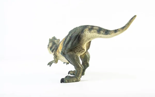 Tyrannosaurus Rex Dinozaur Białym Tle — Zdjęcie stockowe