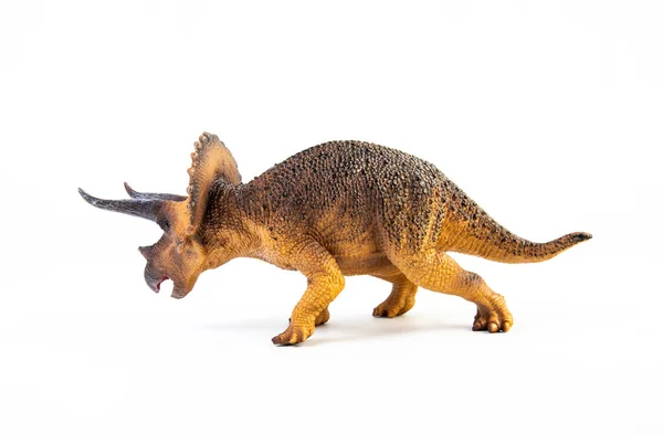 Triceratops Динозаврів Білому Тлі — стокове фото