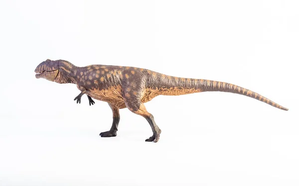 Giganotosaurus Dinosaurio Sobre Fondo Blanco —  Fotos de Stock