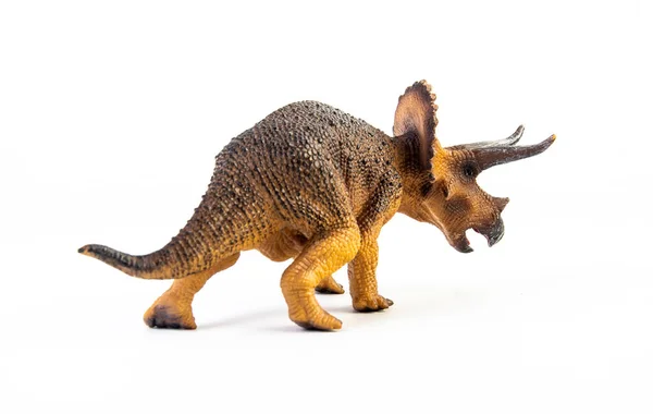 Triceratops Dinozaur Białym Tle — Zdjęcie stockowe