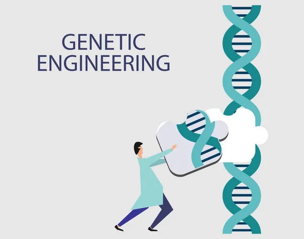 Científicos Genéticos Editan Adn Ingeniería Genética — Archivo Imágenes Vectoriales