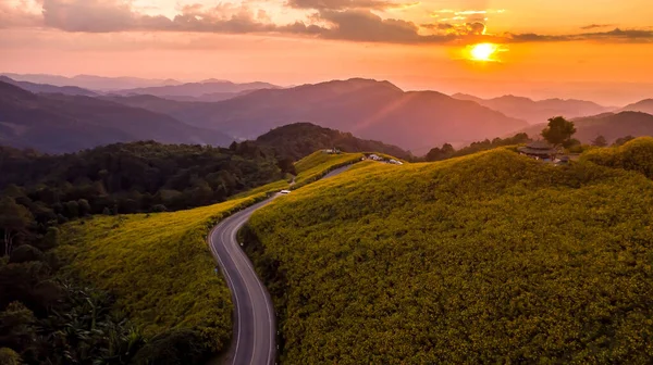 Letecký Pohled Krajina Hory Soumraku Čas Příroda Květina Tung Bua — Stock fotografie