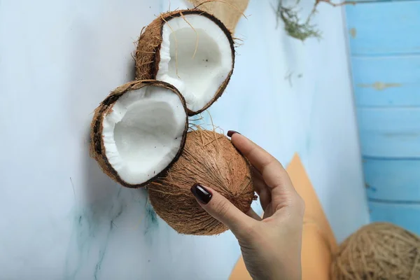 Nehmen Sie eine haarige braune Kokosnuss mit der Hand isoliert auf blau — Stockfoto