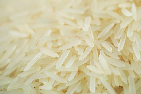 Verse indische rijst in een bestand — Stockfoto
