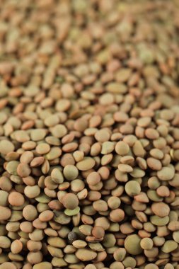 Toptan fiyatına taze ve sağlıklı mercimek stoku.