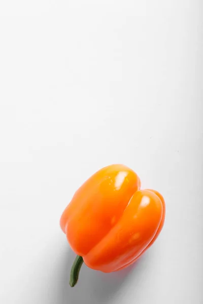 Um único pimentão cor de laranja — Fotografia de Stock