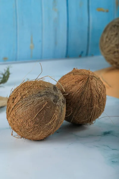 Noix de coco tropicale poilue brune entière isolée sur bleu — Photo