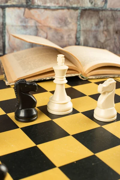 Chess figures position and a book