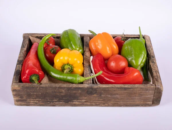 Color peppers tray in white background Royalty Free Stock Photos