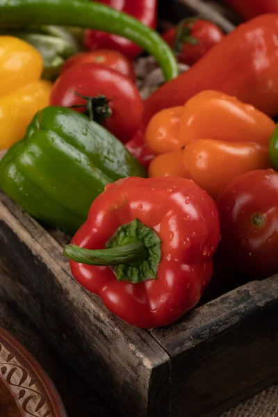 Toptan satış tepsisinde renkli dolma biberler..